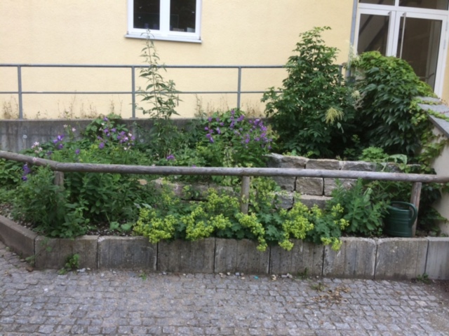 NaturSpielRäume Gallerie Leistungsseite Schulhof 7