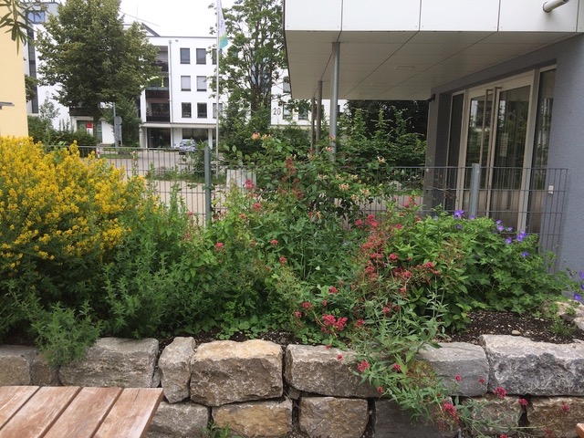 NaturSpielRäume Gallerie Unternehmen 5